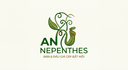 Nepenthes Hub